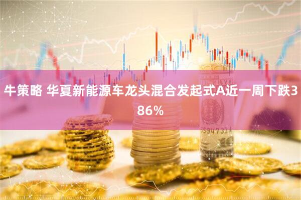 牛策略 华夏新能源车龙头混合发起式A近一周下跌386%